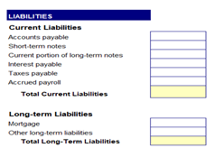 A balance sheet, highlighting the area to enter liabilities.